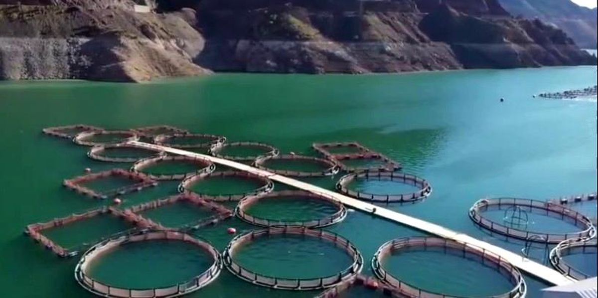 Erzurum'da 3,38 milyar destekle 5 bin 226 kişilik istihdam oluştu