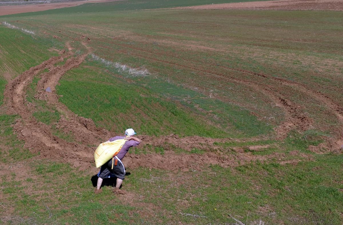 Hafik'te geçen yıllarda kuruyan Çekmegöl yeniden suyla doldu