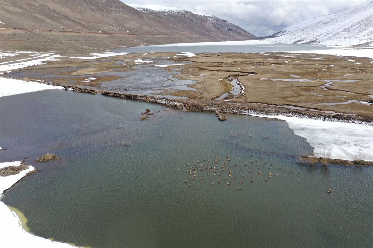 Iğdır'da bu yıl su tutmaya başlayan Ünlendi Barajı yüzde 10 doldu