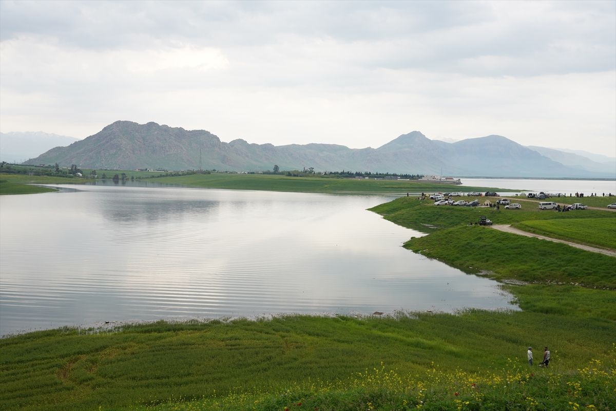 Irak'ın Süleymaniye kentinde barajlar dolarken, ekinler sular altında kaldı