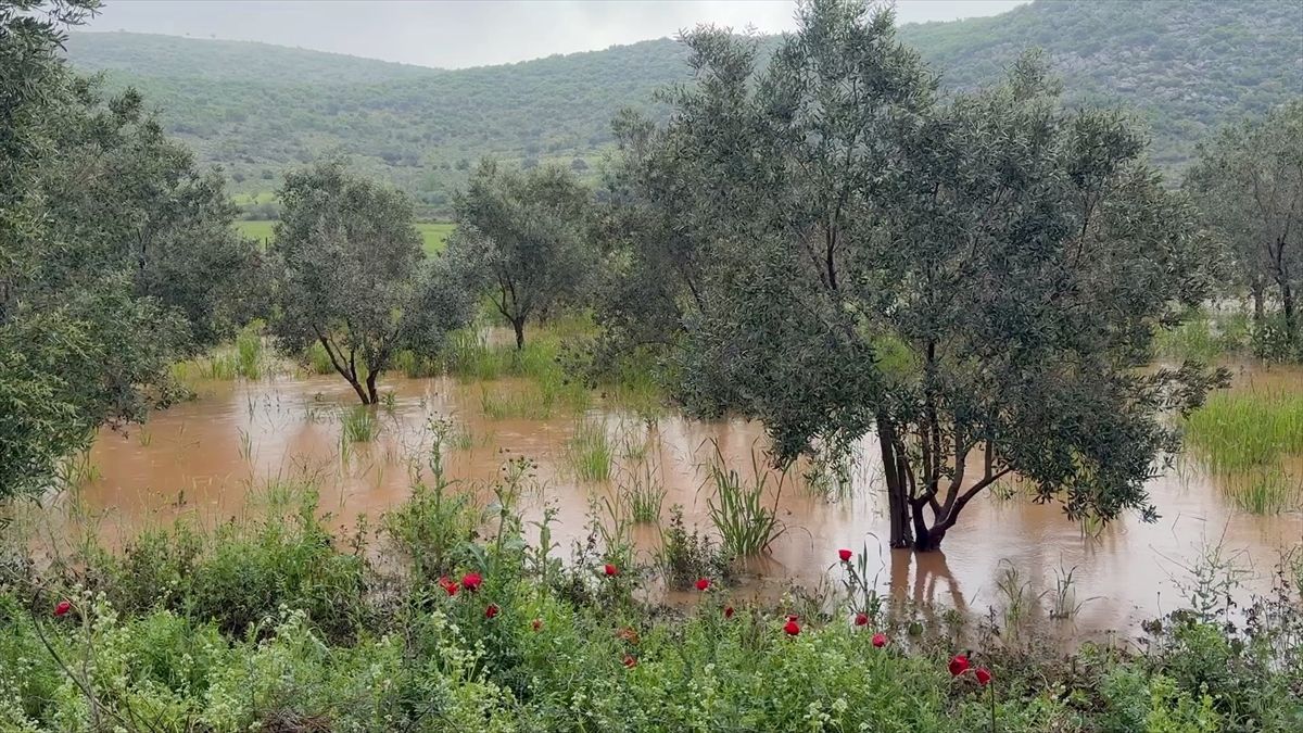 Osmaniye'de sağanak tarım arazilerine zarar verdi