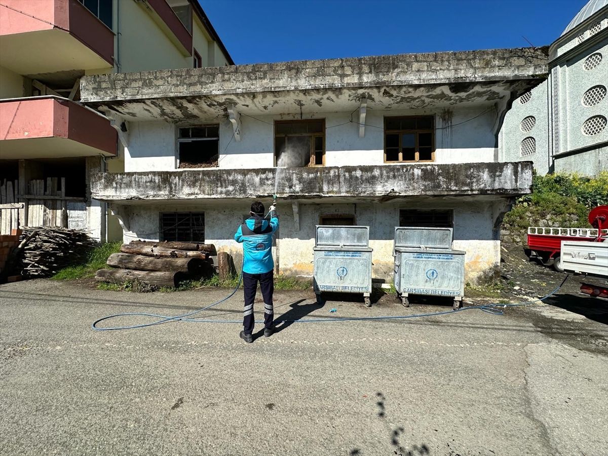 Trabzon'da kahverengi kokarca ile mücadele devam ediyor