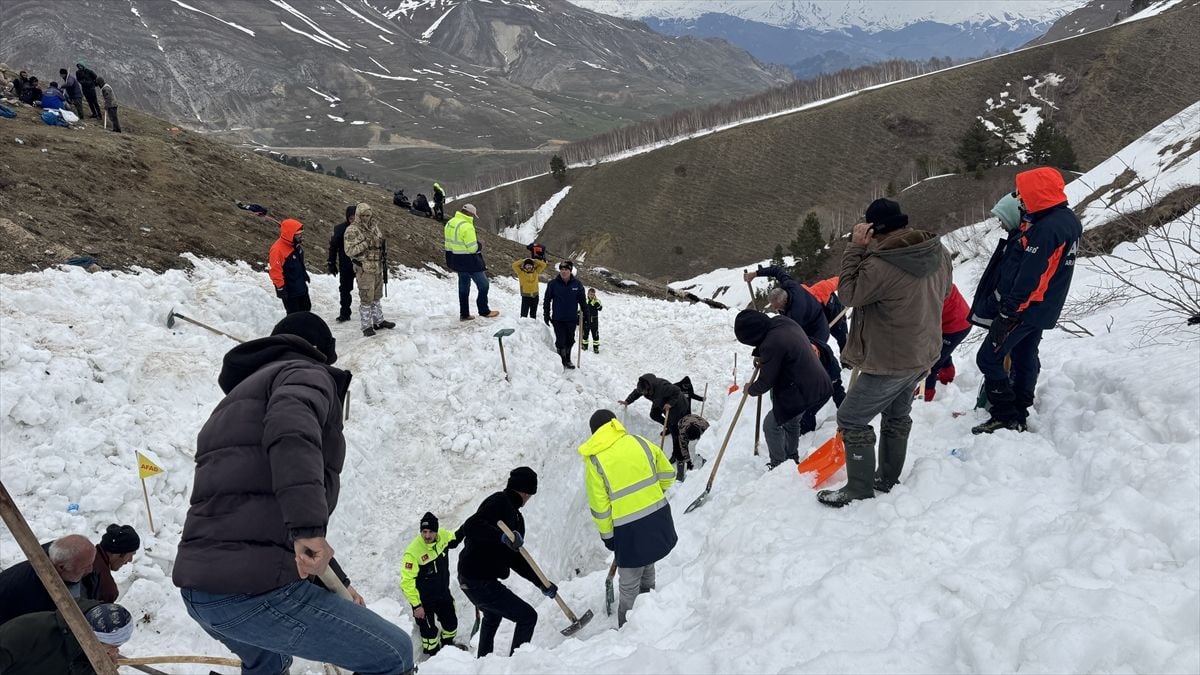 Artvin'de çığ altında kalan çobanı arama çalışmaları sürüyor