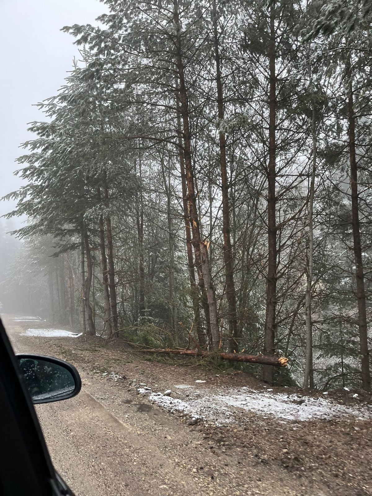 Bolu'da Mayıs Ayında Kar Yağışı