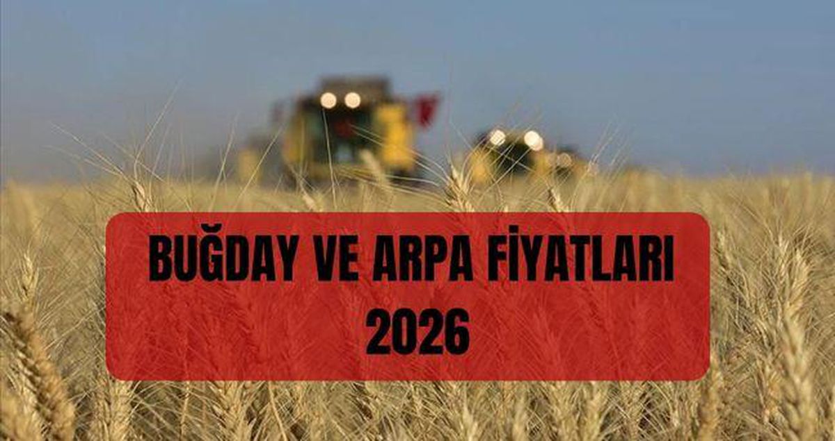 BUĞDAY VE ARPA FİYATLARI 2026: Buğday alım fiyatları belli oldu mu, ne zaman açıklanacak? Hububat arpa ve buğday alımı fiyatları ne kadar?