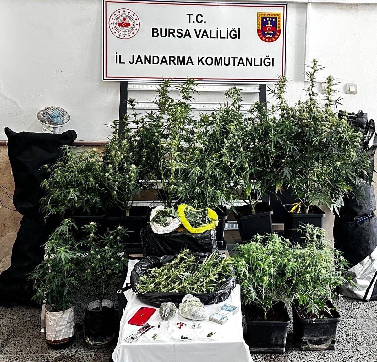 Osmangazi’de Uyuşturucu Operasyonu: 1 Tutuklama