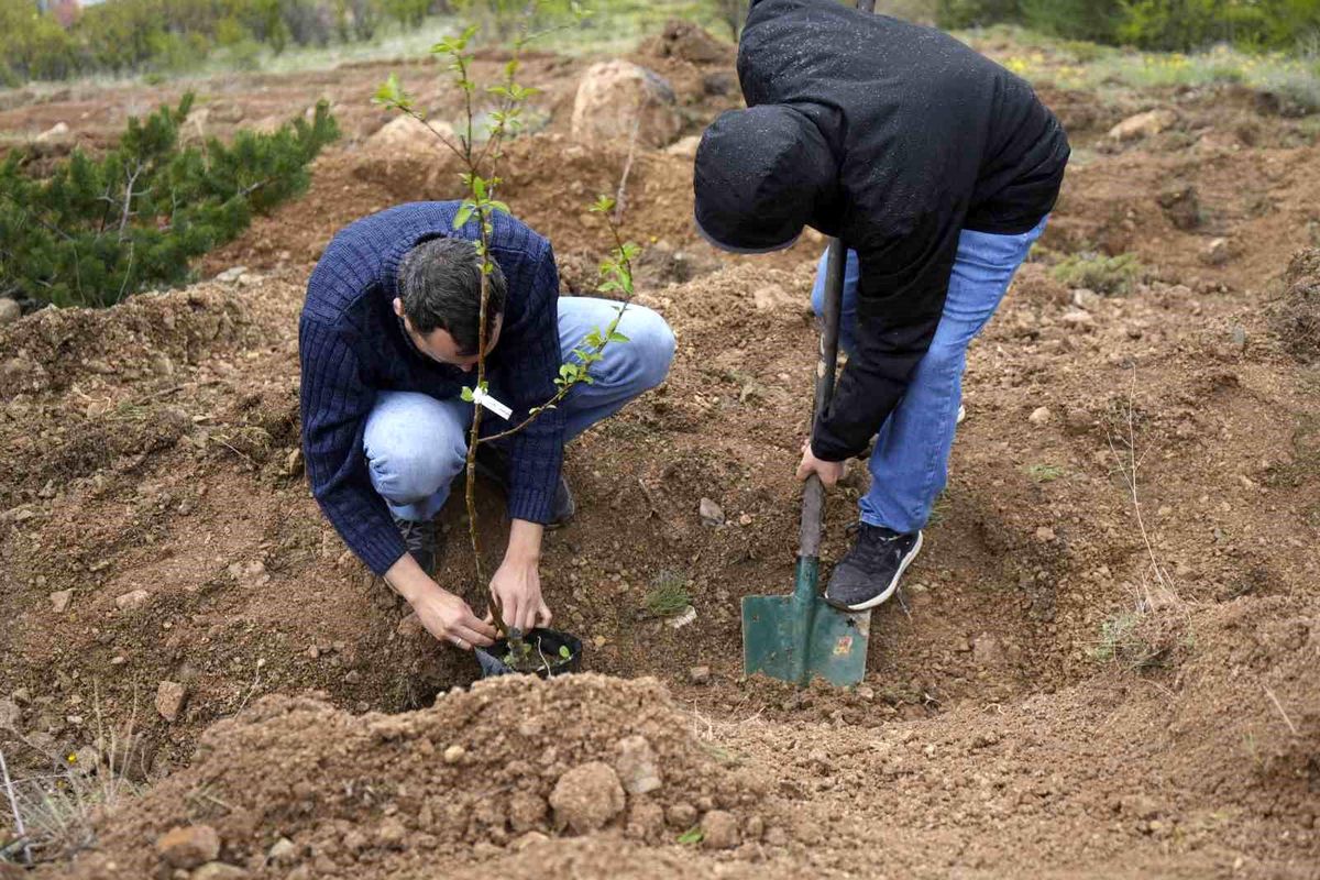 Gümüşhane Üniversitesi'nde akademisyenler için "meyve bahçesi" oluşturuldu