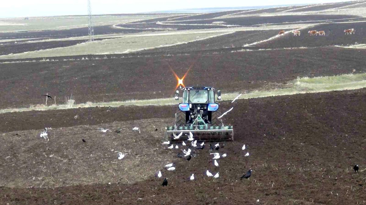 Kars’ta uzayan kış tarım takvimini altüst etti: Çiftçiler zamanla yarışıyor