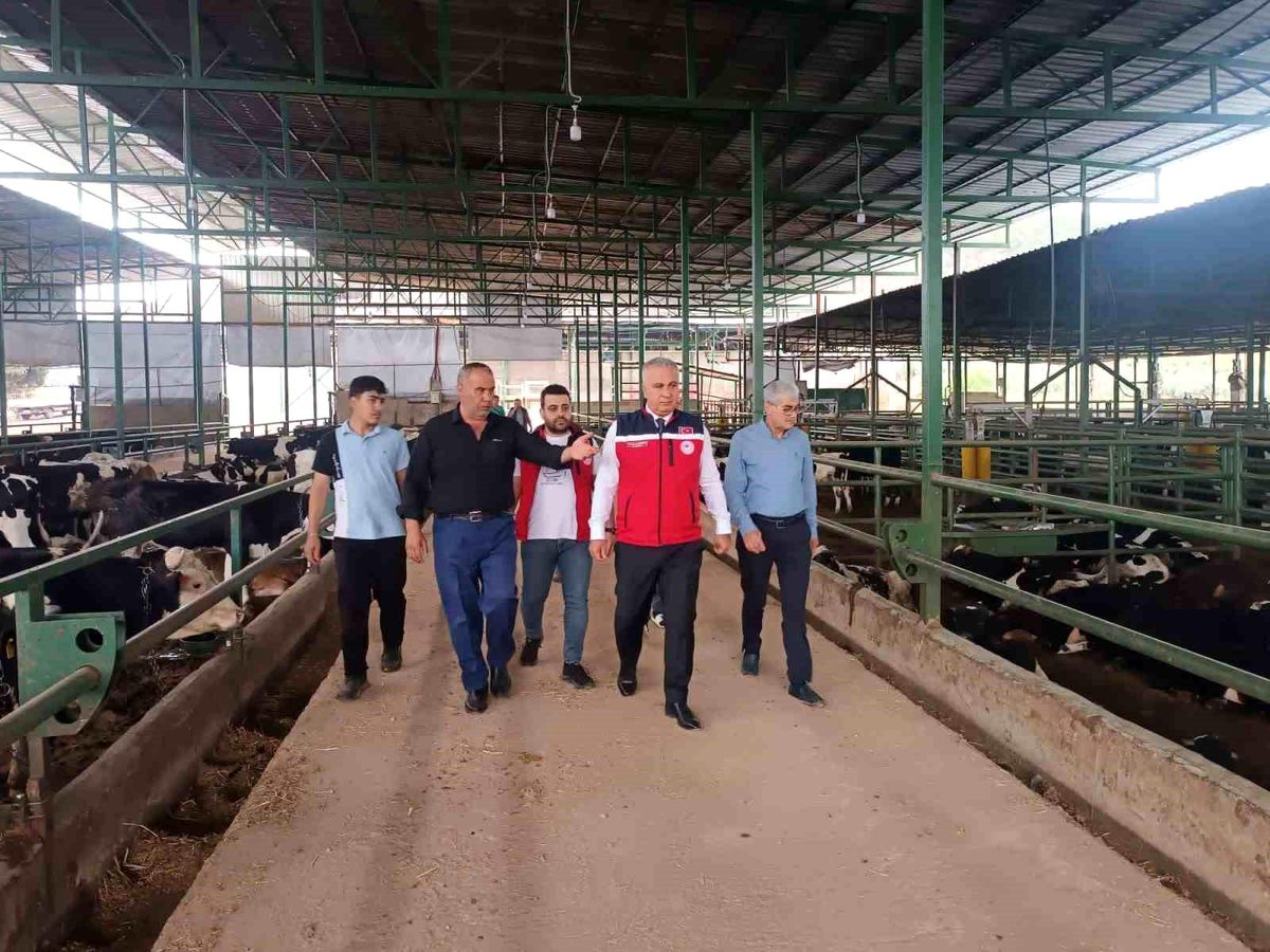 Kurban Bayramı öncesi hayvan satış yerlerinde sıkı denetim