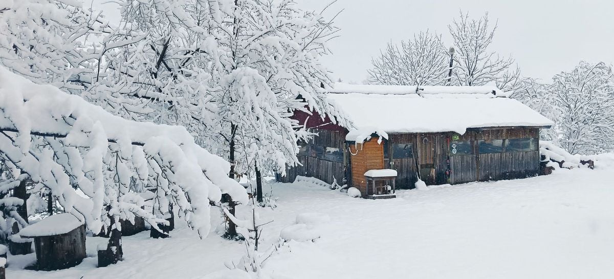 Ordu'da mayıs ayında kar yağdı