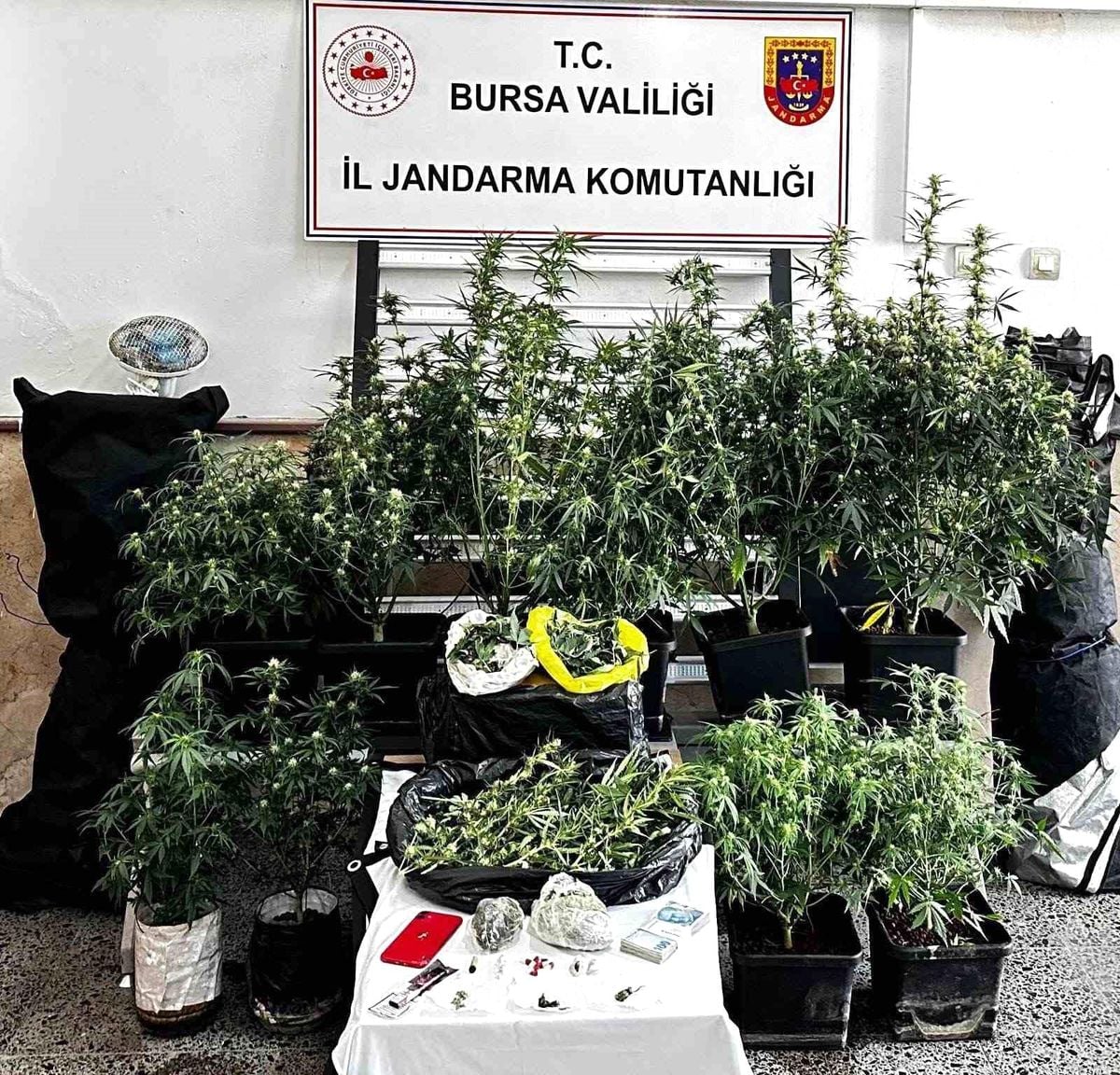 Osmangazi'de uyuşturucu operasyonu: 1 şüpheli tutuklandı
