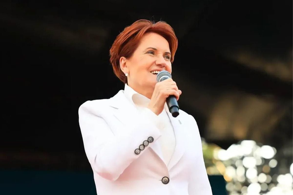 Siyaseti bırakan Meral Akşener'den uzun süre sonra ilk fotoğraf: Yeni imajı dikkat çekti