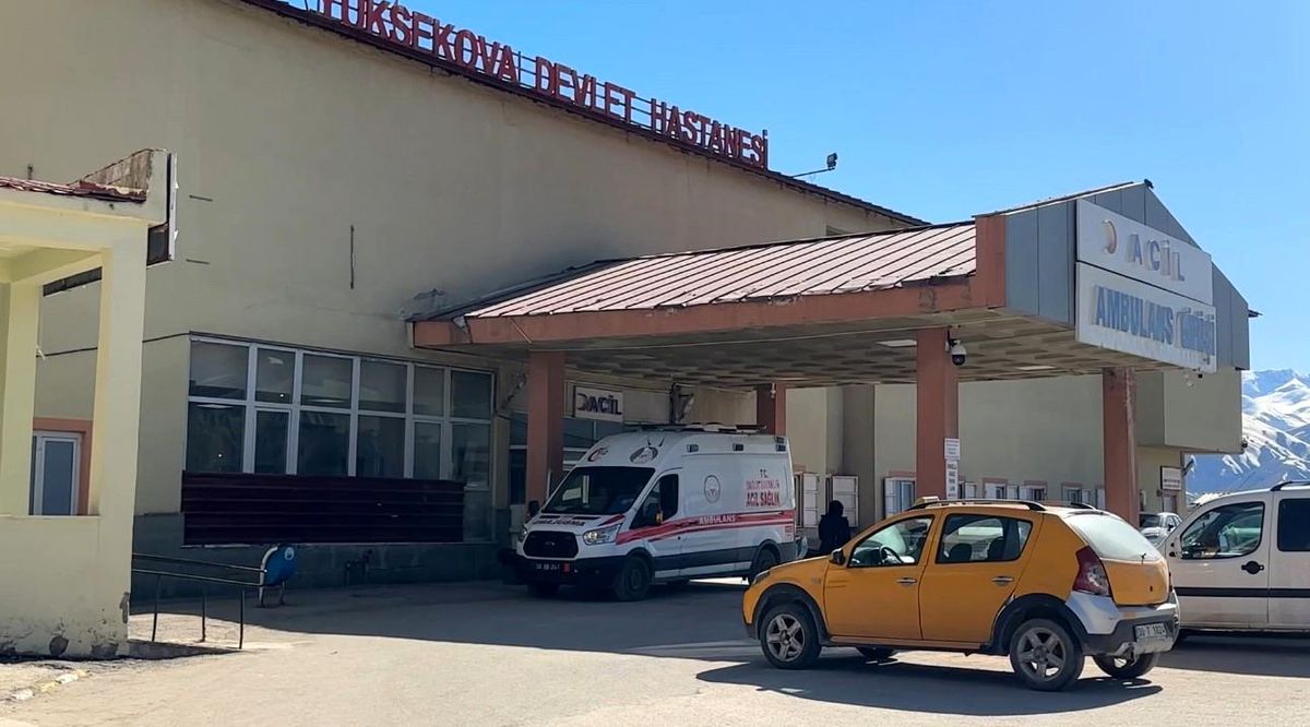 Yüksekova'da patlama: 1 çoban yaralı, 3 koyun telef oldu