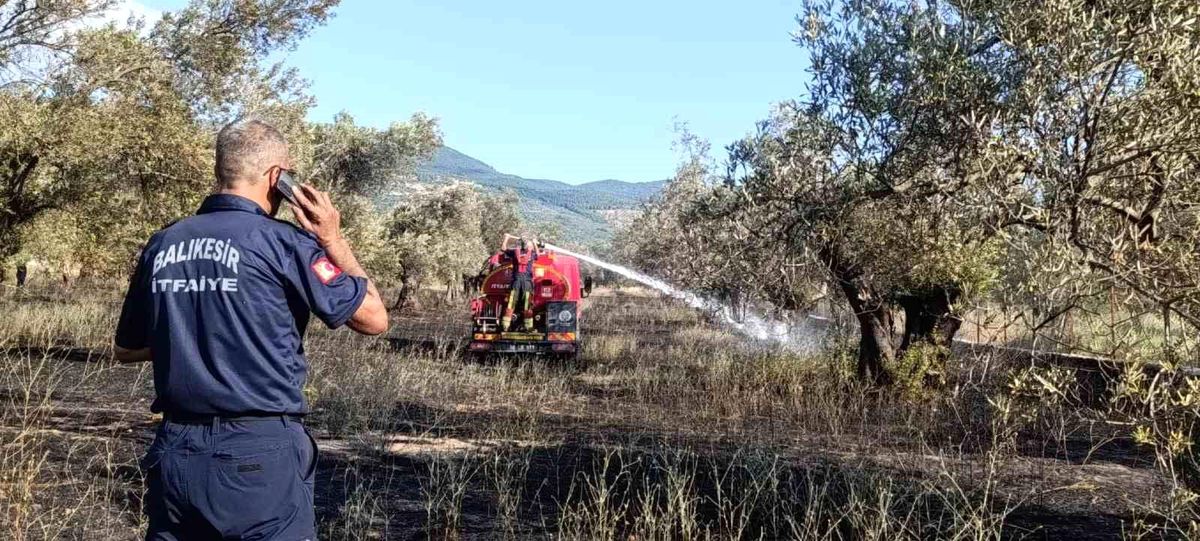 Balıkesir Ziraat Odası Başkanı Demirbay: "Bir yıllık emek bir sigara izmaritiyle kül olmasın"