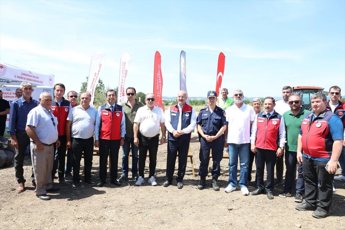 Biga'da Mera Islah Projesi kapsamında arpa hasadı düzenlendi