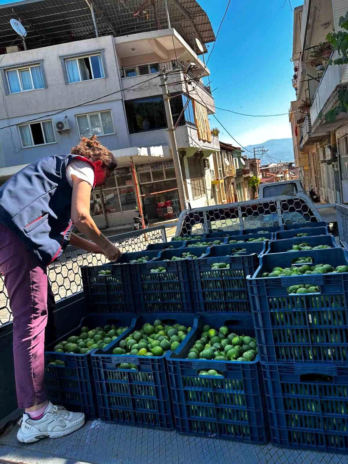 Bozdoğan'da İlek denetimleri aralıksız sürüyor
