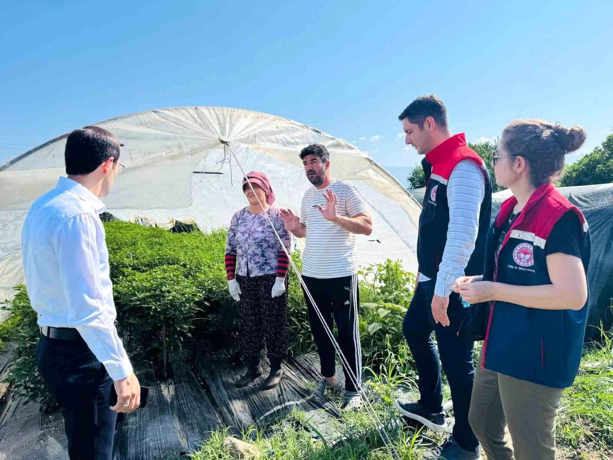 Bozdoğan'da tarımsal üretim sahada değerlendirildi