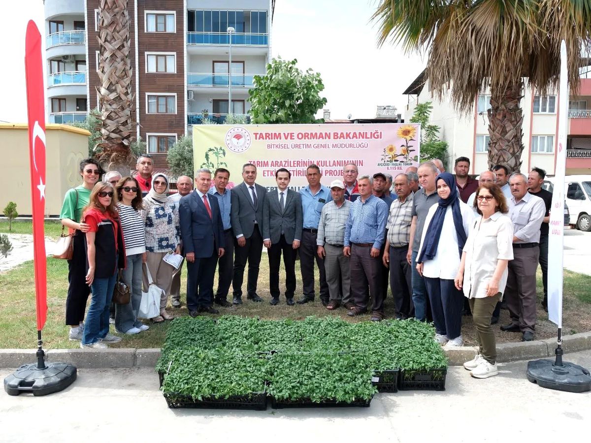 Buharkent'te 38 bin domates fidesi dağıtıldı