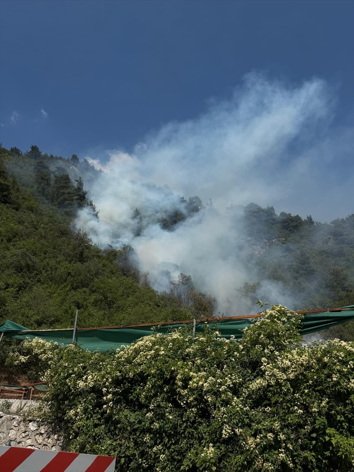 Bursa'da çıkan orman yangınına müdahale ediliyor