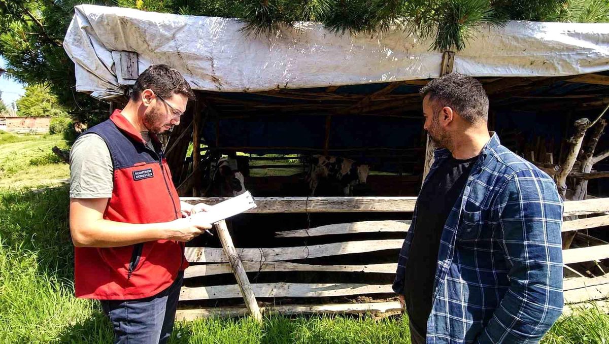 Buzağı kayıplarının önlenmesi için eğitim çalışması sürüyor