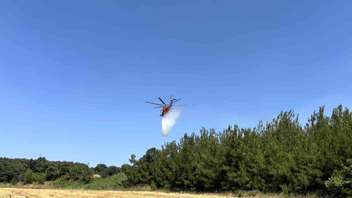 Çanakkale'de tarım arazisinde yangın