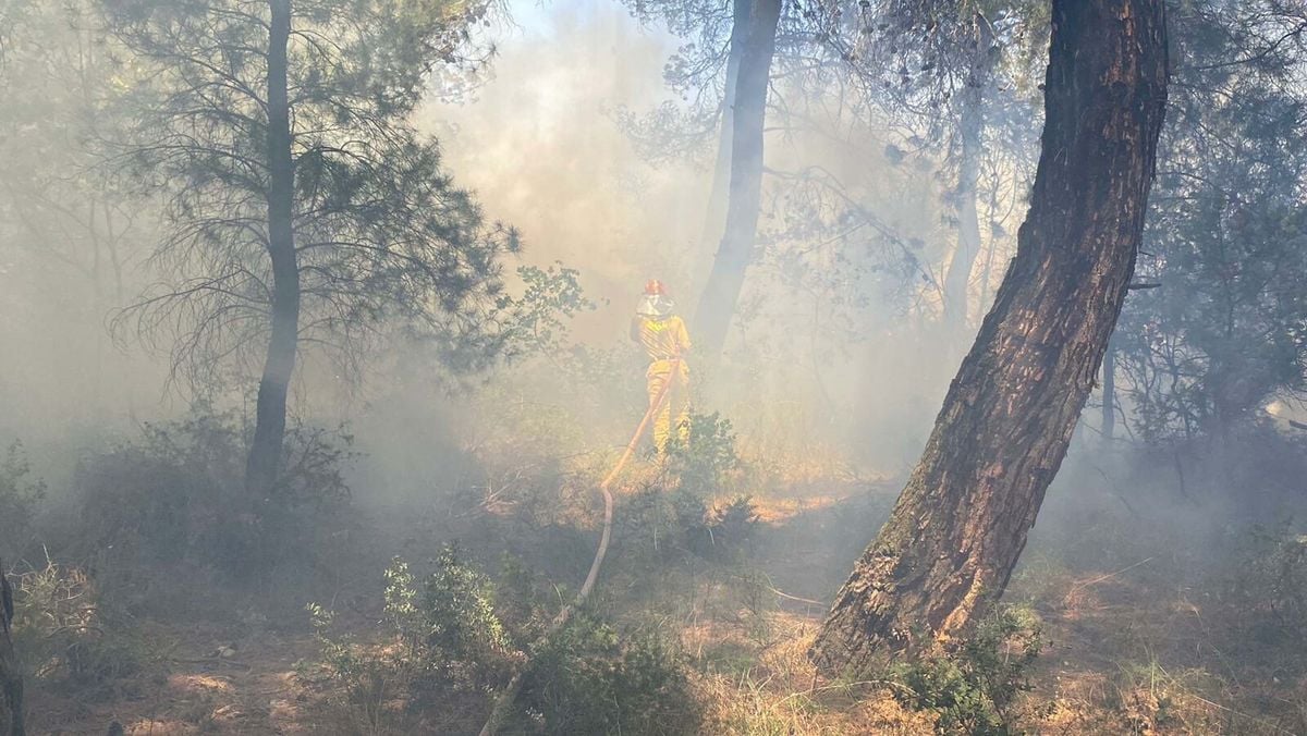 Çanakkale'de tarım arazisinde yangın