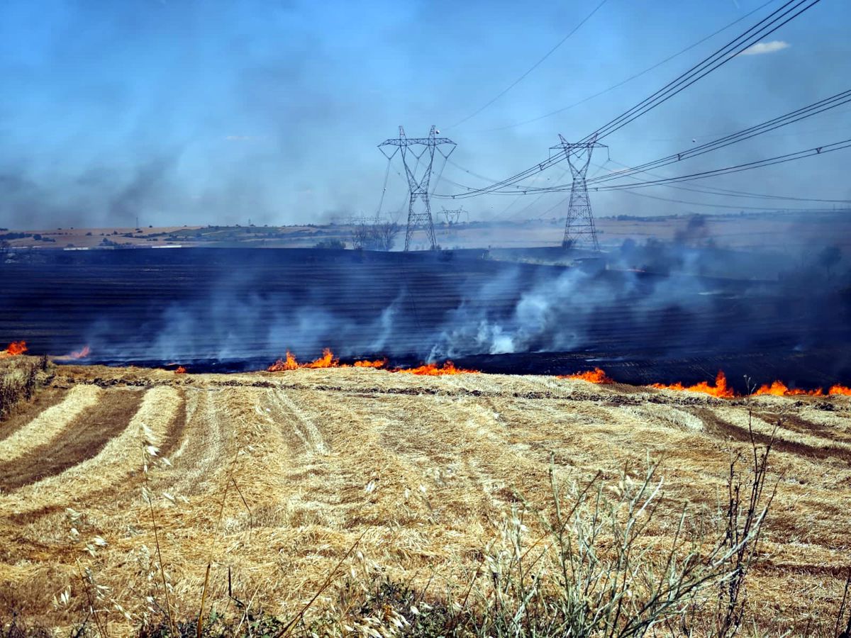 Edirne'de Anız Yangını: 500 Dekar Tarım Arazisi Zarar Gördü