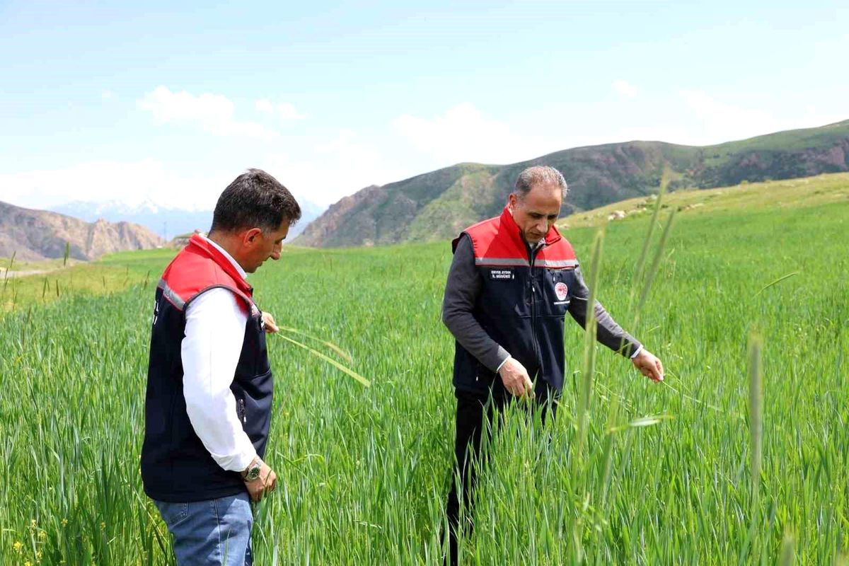 Kars'ta fenolojik gözlem çalışmaları sürüyor