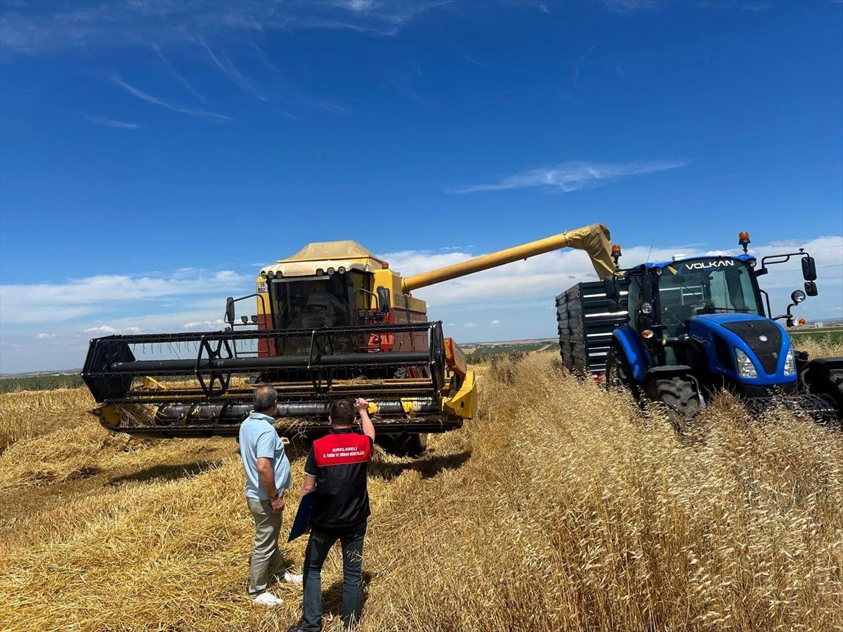 Kırklareli'nde hasat kontrol çalışmaları başladı