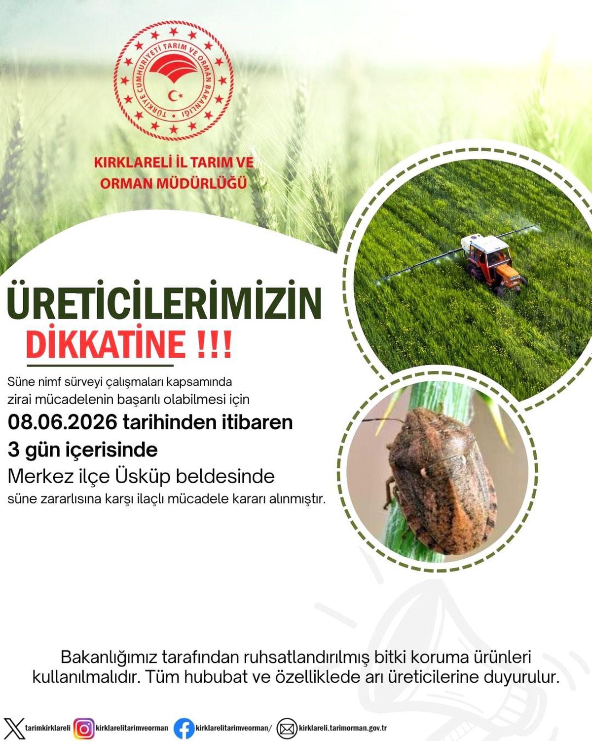 Kırklareli'nde süne alarmı: Üreticilere 3 günlük ilaçlama çağrısında bulunuldu
