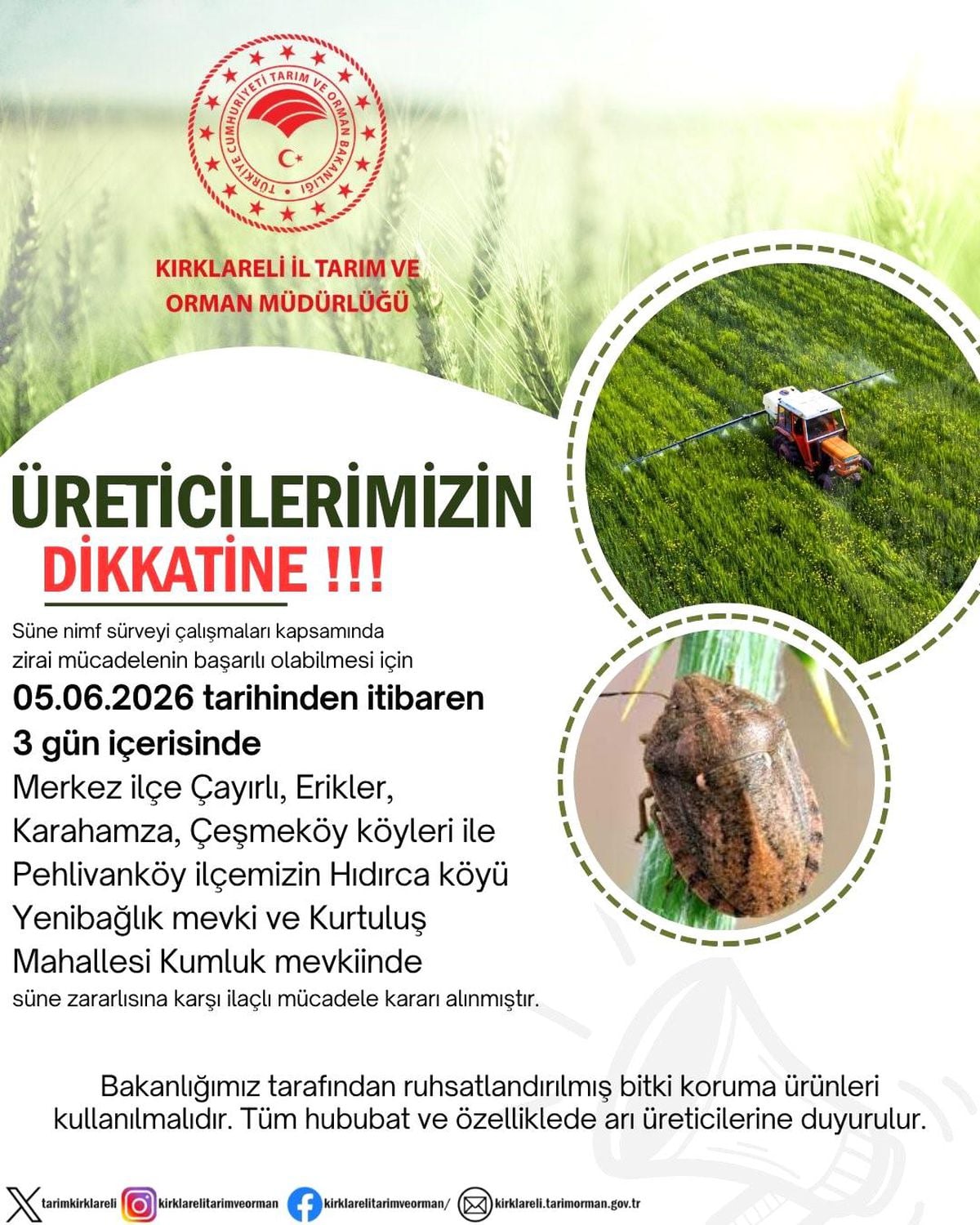 Kırklareli'nde süne zararlısına karşı ilaçlı mücadele kararı