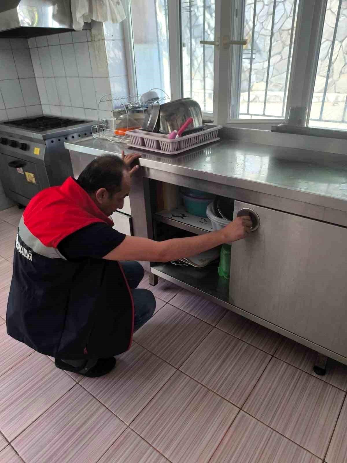 Köşk İlçe Tarım denetimlerini sürdürüyor