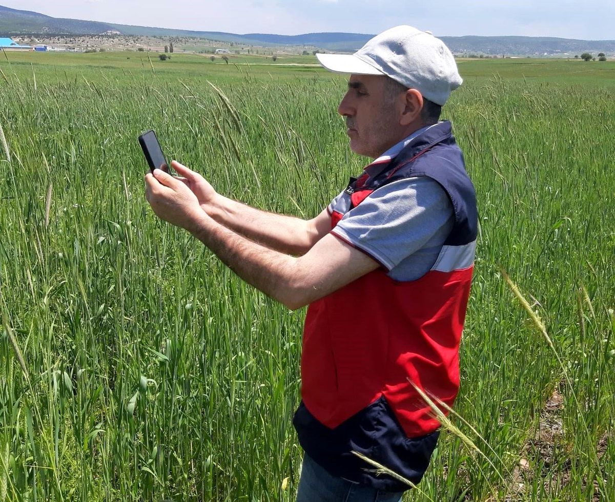 Kütahya'da arazi ve ürün kontrolleri yapıldı