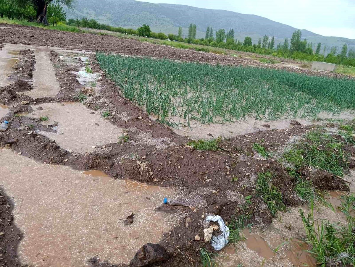 Malatya'da dolu yağışı tarım arazilerini sular altında bıraktı