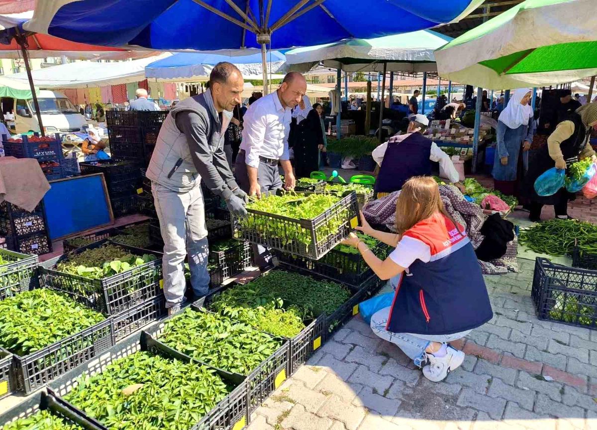 Pazarlarda satılan tohum ve fideler kontrol edildi