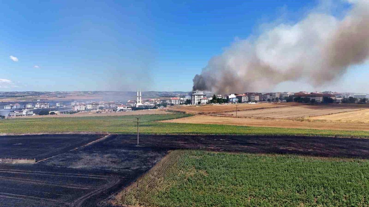 Silivri'de rüzgarla büyüyen yangında alevleri kontrol altına alma çalışmaları devam ediyor