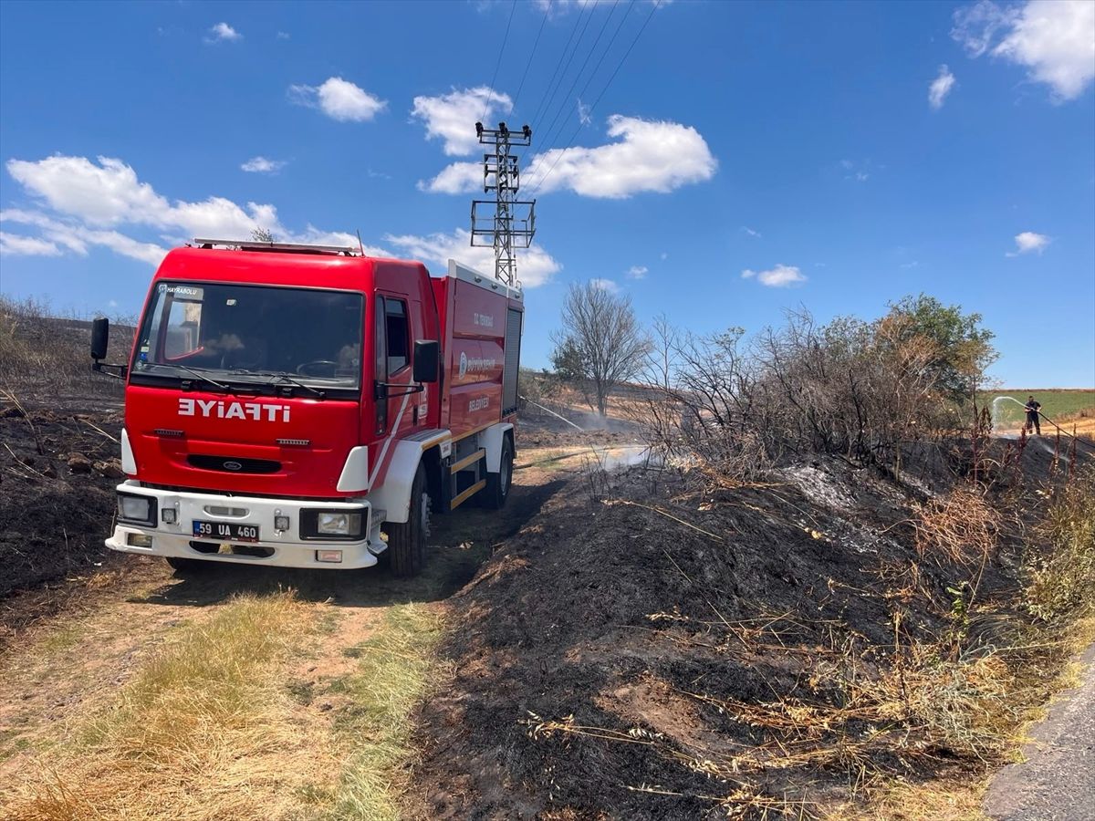 Tekirdağ'da 65 dekar tarım arazisi yangında zarar gördü