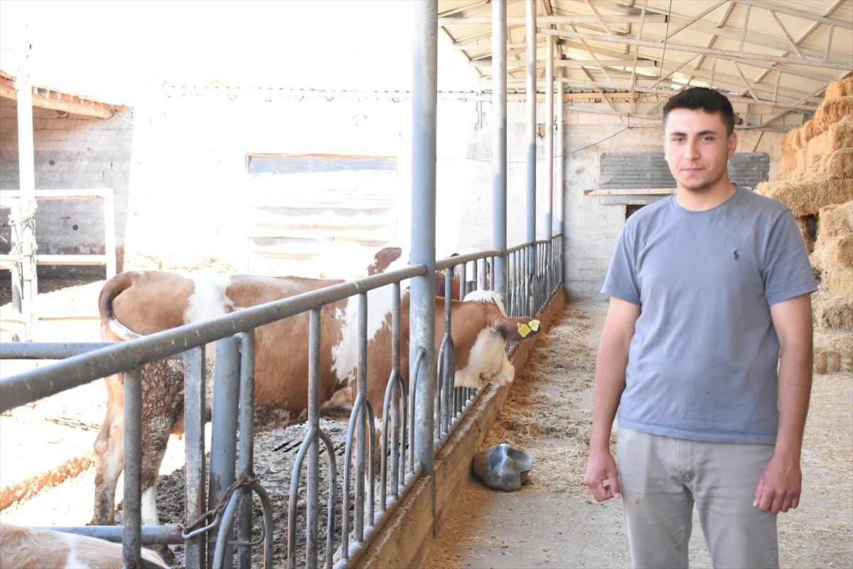 Veteriner teknisyeni genç devlet desteğiyle süt sığırcılığı yapıyor
