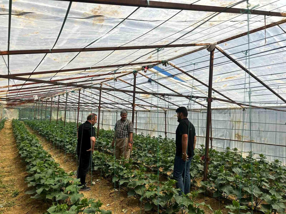 Yüksekova Tarım ve Orman Müdürlüğü ekiplerinden çiftçilere saha desteği