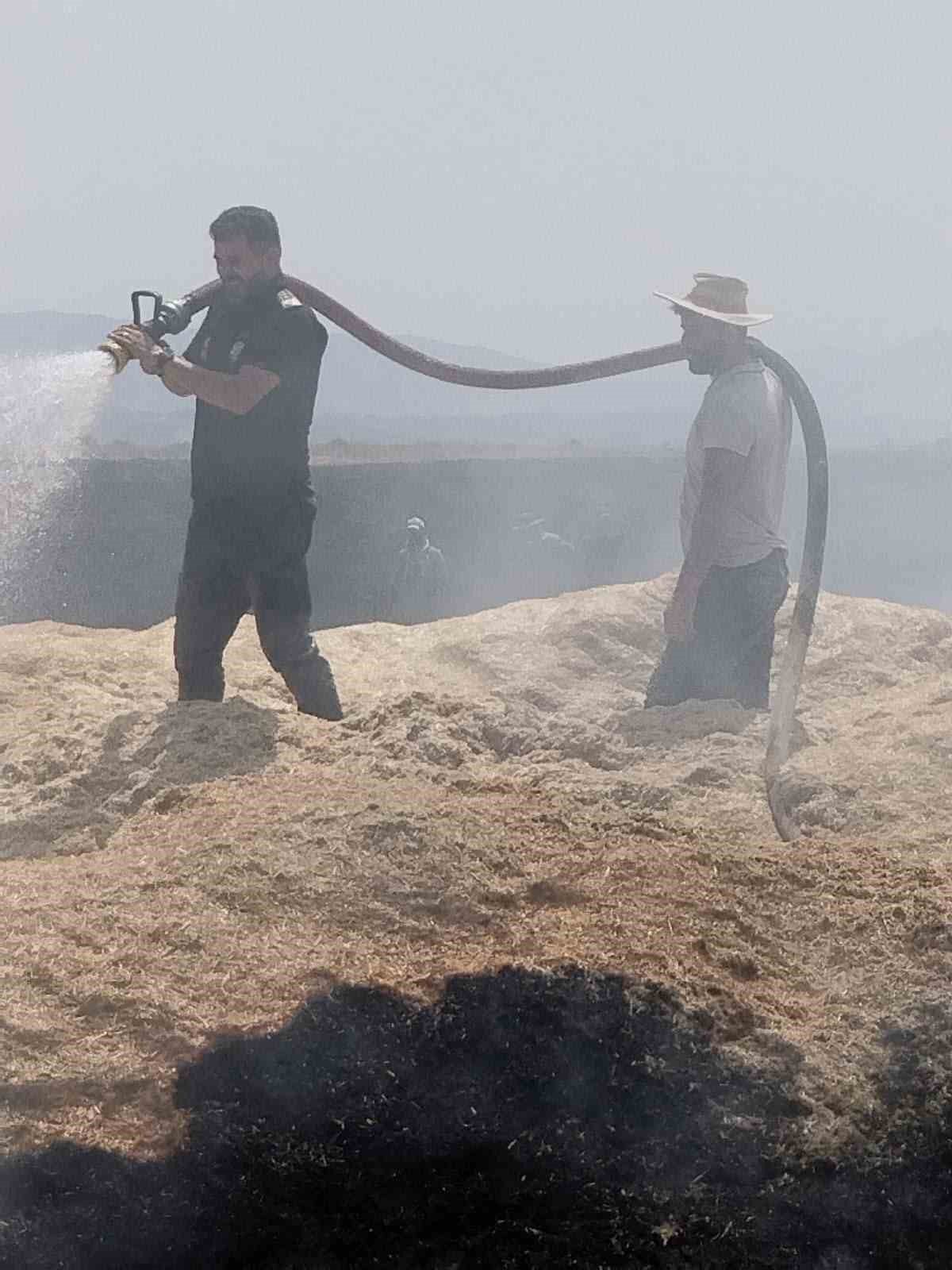 Bingöl’de arazi yangını: 2 bin dönüm arazi zarar gördü