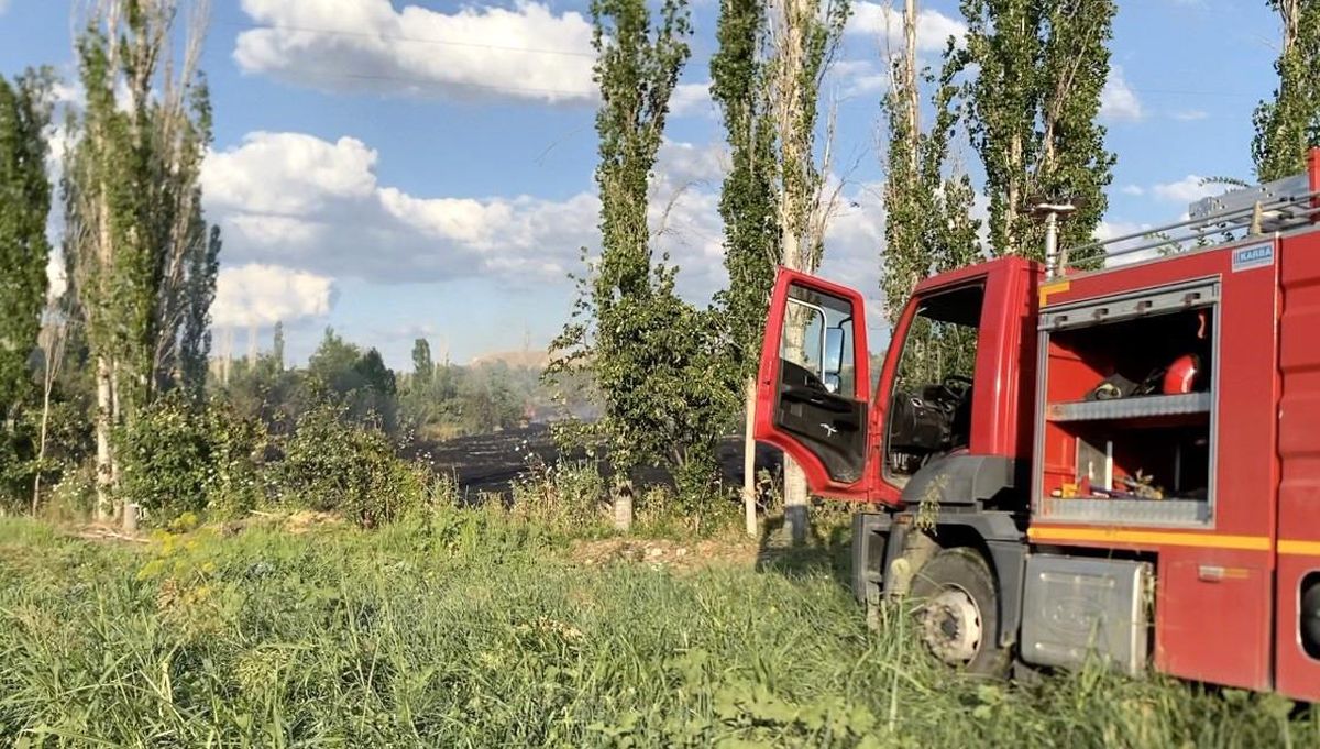 Çorum'da orman yangını
