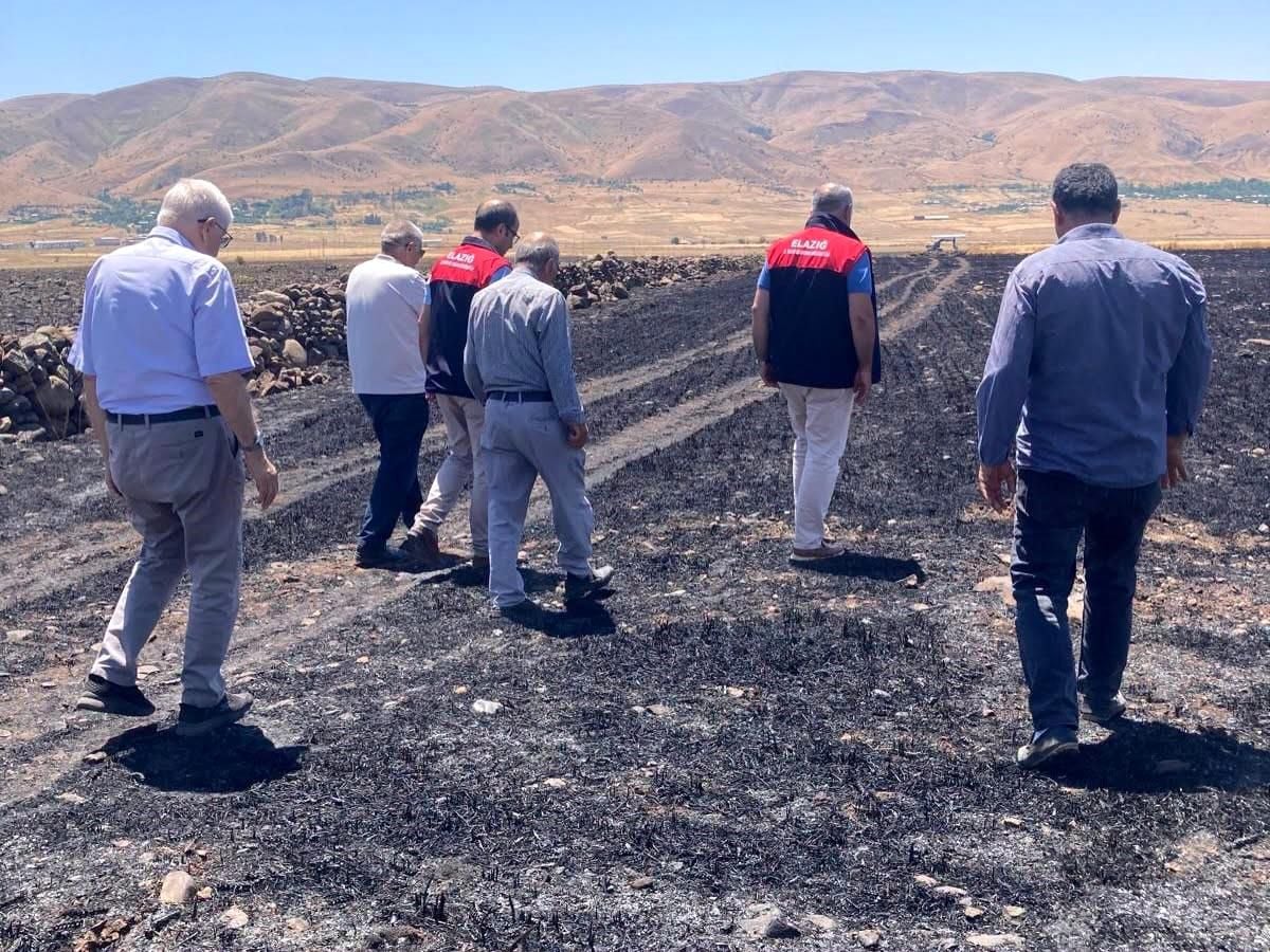 Elazığ'da küle dönen 70 dönümlük ekili alanda hasar tespit çalışmaları