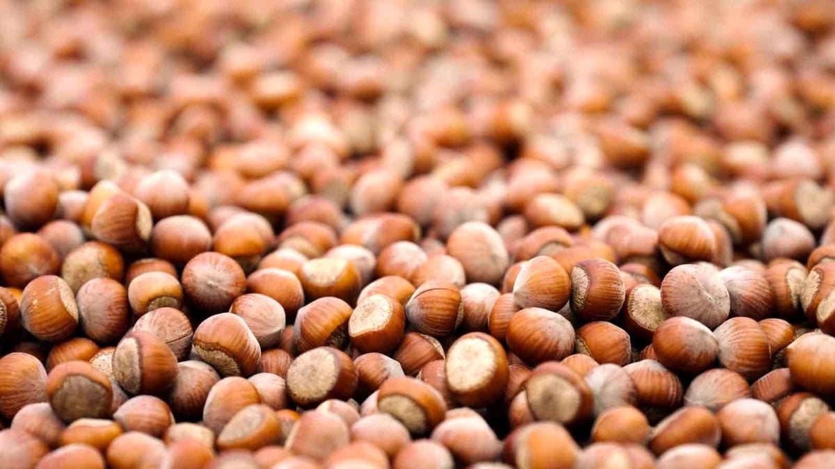 Ferrero 17. Sürdürülebilirlik Raporu'nu yayımladı