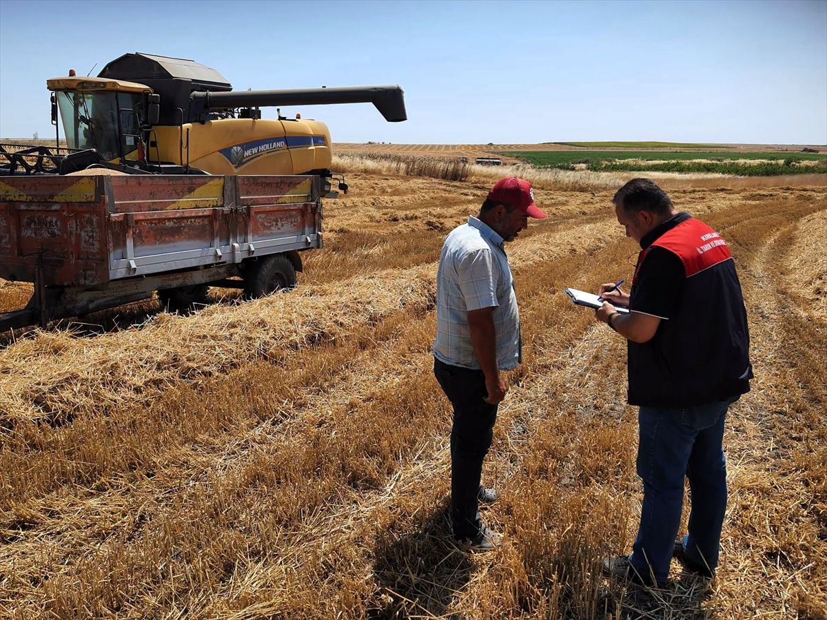 Kırklareli'nde hasat kontrol çalışmaları sürüyor