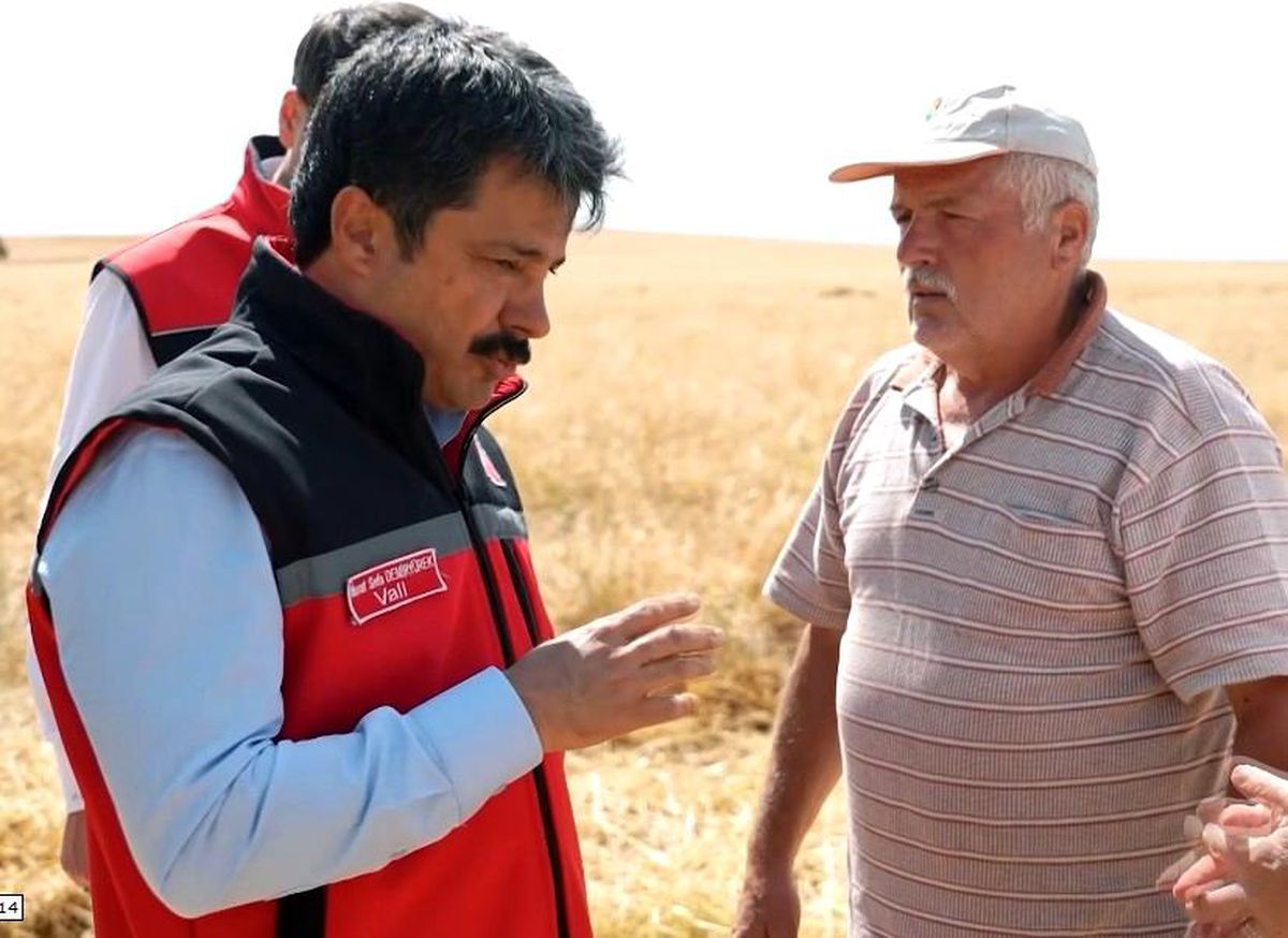 Kırşehir'de arpa ve buğdayda hasat başladı