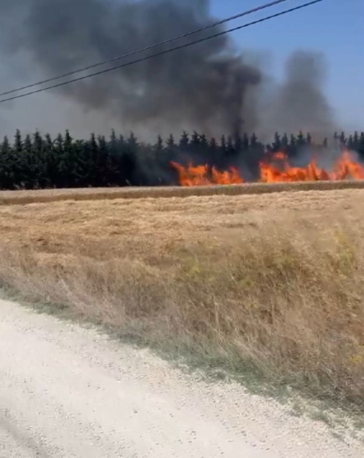 Silivri'de elektrik direği kesimi sırasında çıkan yangın söndürüldü