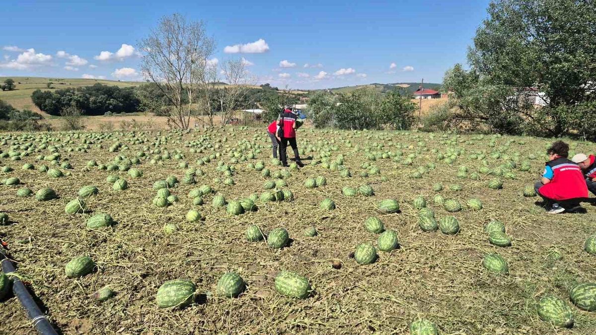 Süper hücre Tekirdağ'ı vurdu: 4 köy zarar gördü