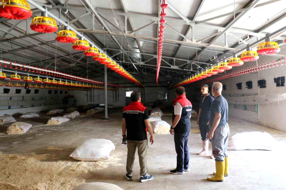 TKDK hibesiyle kurulan broiler işletmesi incelendi