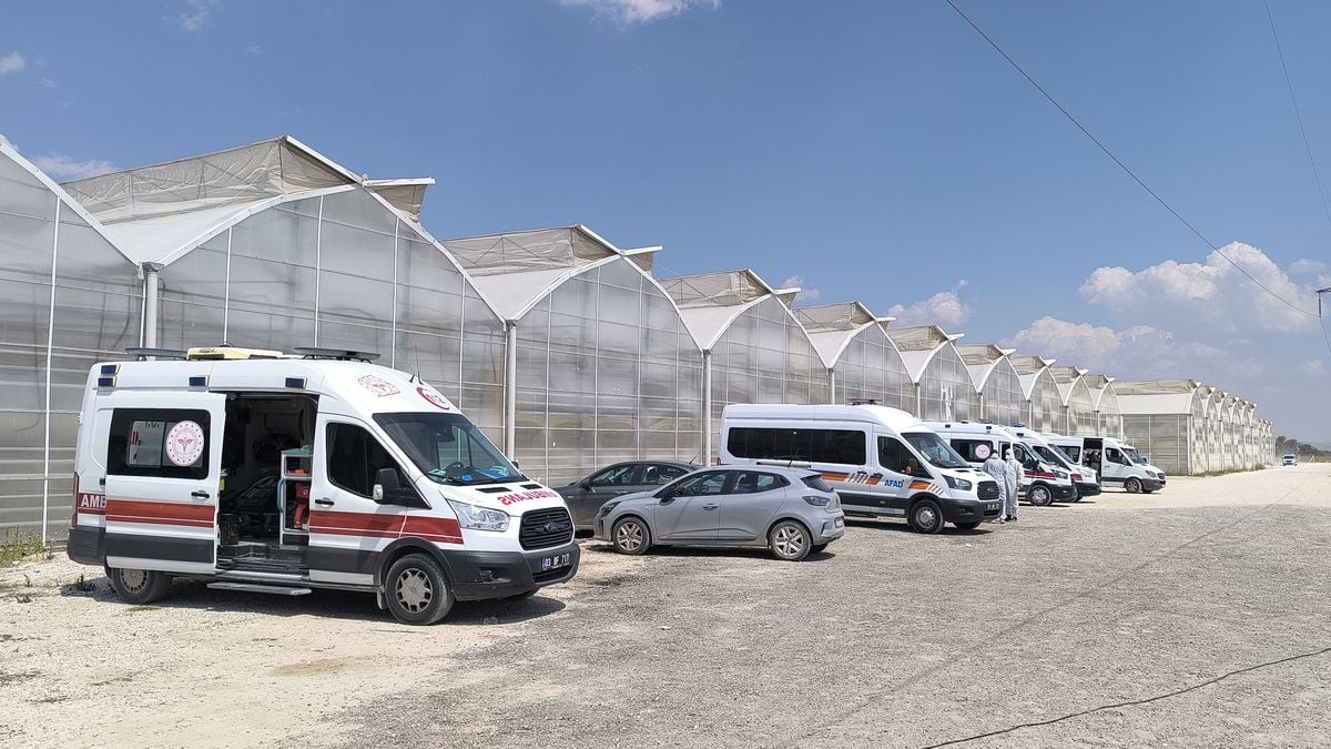 Serada İlaçlama Faciası: 24 Yaralı