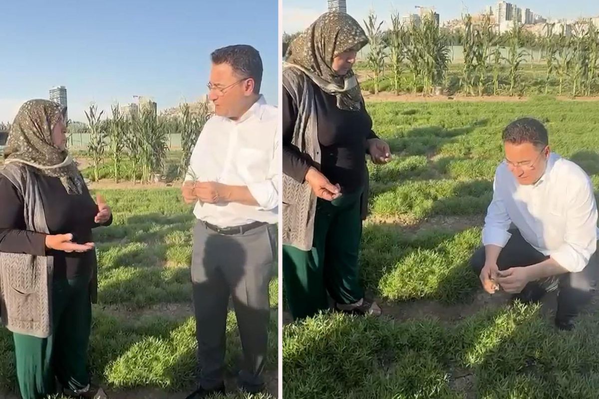 30 yıllık üretici Ali Babacan'a dert yandı: Geçinemiyoruz, bırakacağız